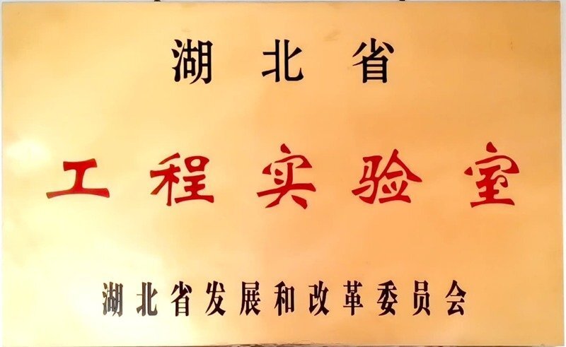 湖北省工程實(shí)驗(yàn)室 (2)